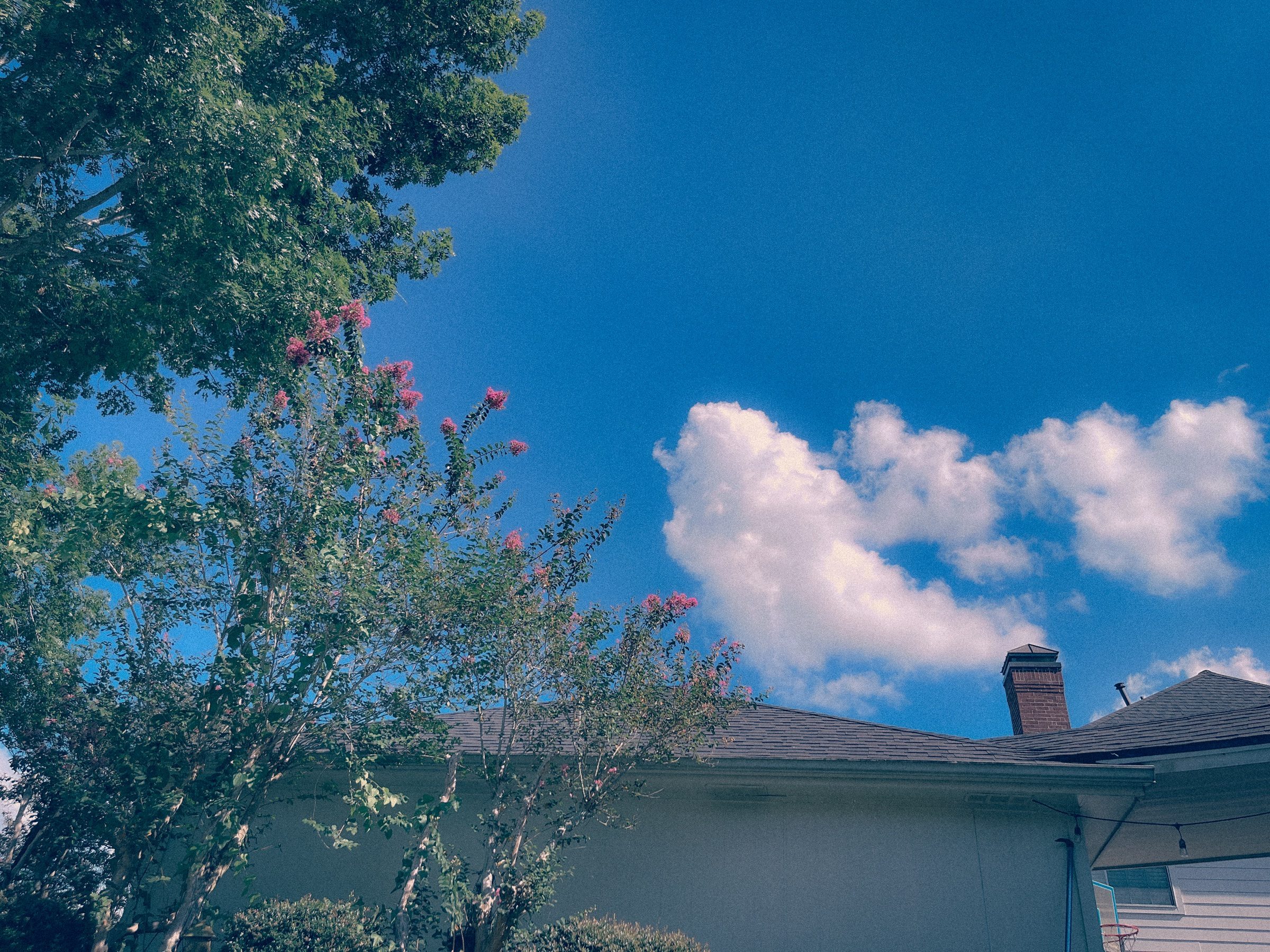 Deep blue sky and clouds framed by leafy trees and a rooftop